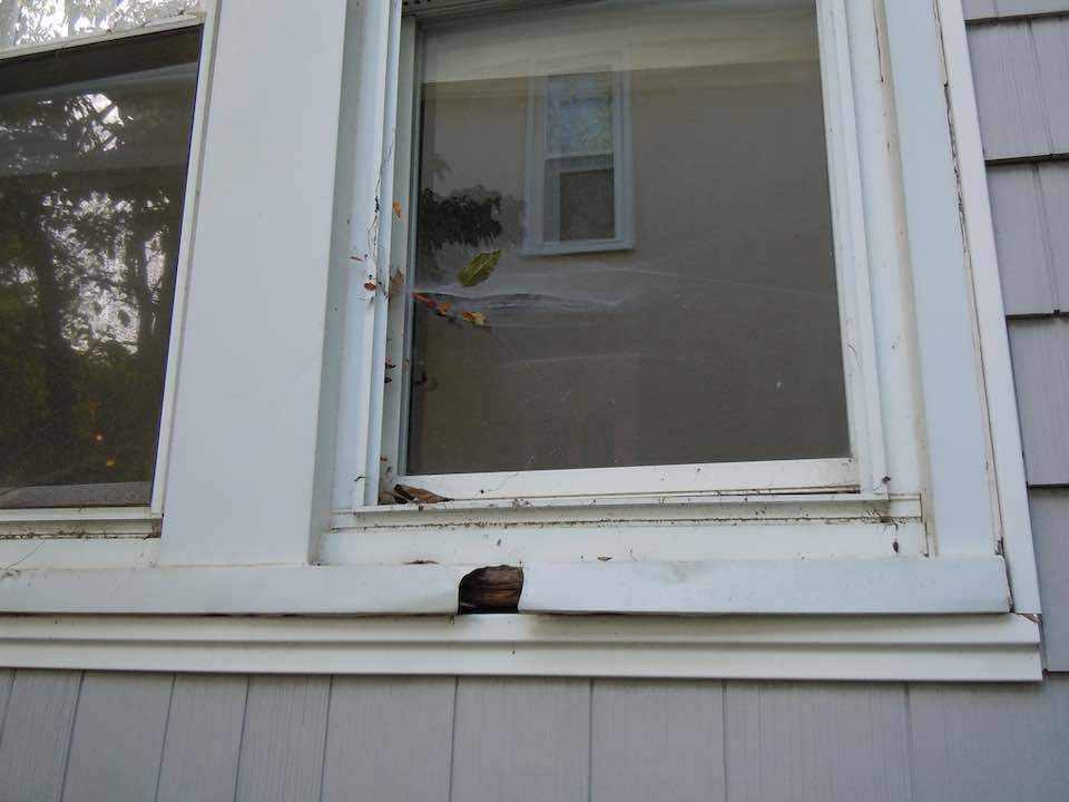 Why Cheap uPVC Windows Fail Within 10 Years ARCCMR